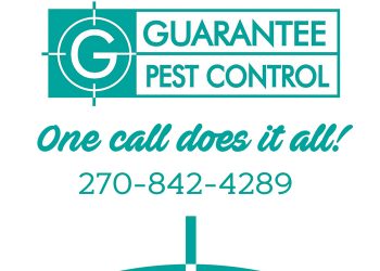 Home Tips from the Pros: Guarantee Pest Control