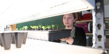 Putting the Green in Bowling Green