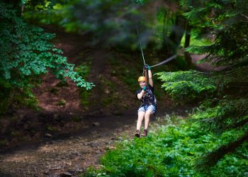 Your Ultimate Guide to a Local Summer 