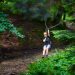 Your Ultimate Guide to a Local Summer