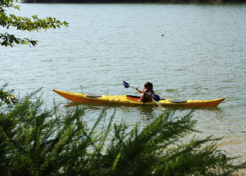 A Decade of Unbridled Spirit: How Cory Ramsey brought The Outdoorsman to Life